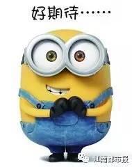 章贡区吃瓜,瓜果飘香，品味夏日清凉