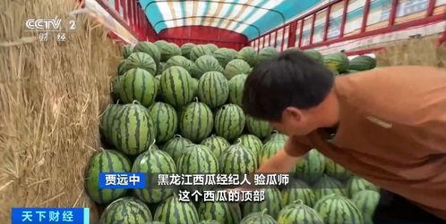 林葳吃瓜,揭秘娱乐圈幕后故事