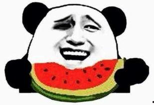 婷婷吃瓜群众,揭秘娱乐圈幕后故事