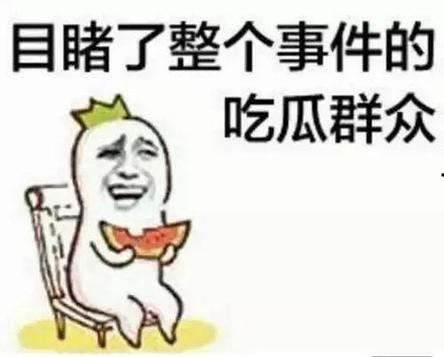 你往后吃瓜稍稍,吃瓜群众视角下的娱乐圈风云录