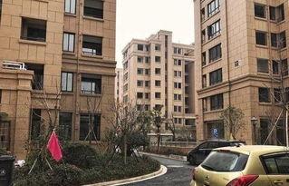 近日吃瓜房地产,揭秘近期房地产热点事件背后的真相