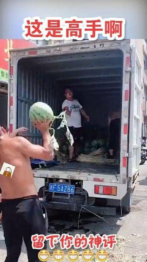 吃瓜失误,揭秘网络谣言背后的真相