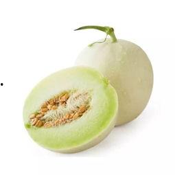 白雪蜜瓜咋吃,白雪蜜瓜的多重美味食用指南