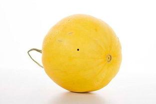 吃啥蜜瓜好吗,吃啥蜜瓜真的好吗？