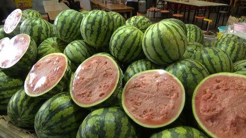 吃瓜的西瓜好吃,吃瓜的西瓜，美味与乐趣并存