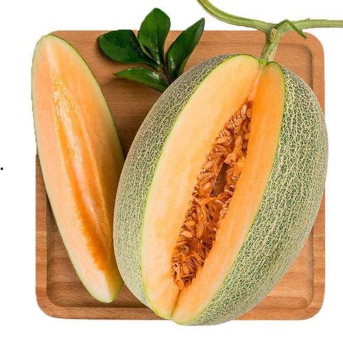 小蜜瓜特长就是吃啊,美食探索者的味蕾之旅