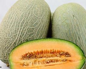 月经期间可以吃哈密瓜,哈密瓜的养生之道