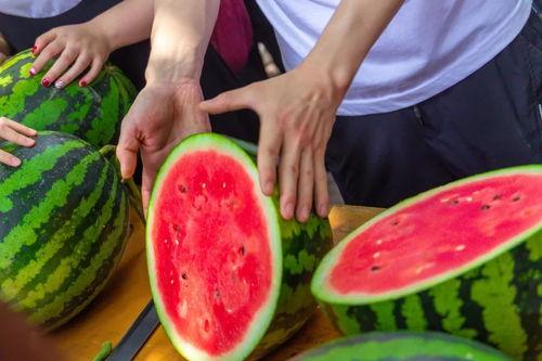 江苏学院吃瓜,吃瓜群众围观校园风云录