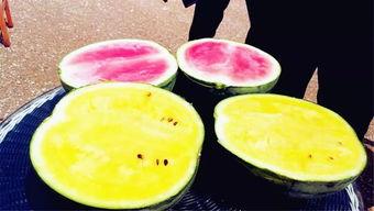 中东吃瓜爆料,揭秘神秘国度的吃瓜爆料