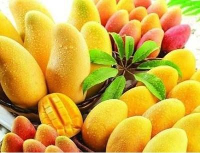 瓜和香蕉能一起吃吗,瓜与香蕉同食的真相揭秘