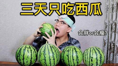 减肥能否吃瓜,健康减肥新选择